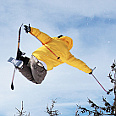 HonkyTonk freeski/snb contest