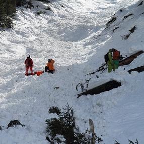 Powderline and Alpenverein