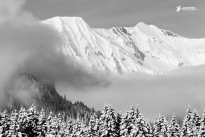 freeridecamps.cz, Photo: Jakub Frey