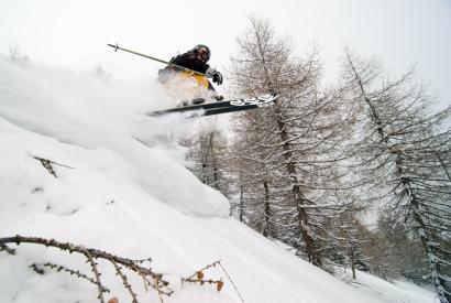 David Sedlák, Photo: Petr Havelka