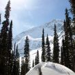 Glacier Circle Cabin