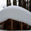 Glacier Circle Cabin