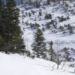 Rider: Robin Ševčík, Photo: Tomáš Zelinka