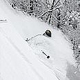 Powder v lesích Vrátné - únor / březen 09