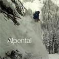 Powder in Stevens Pass